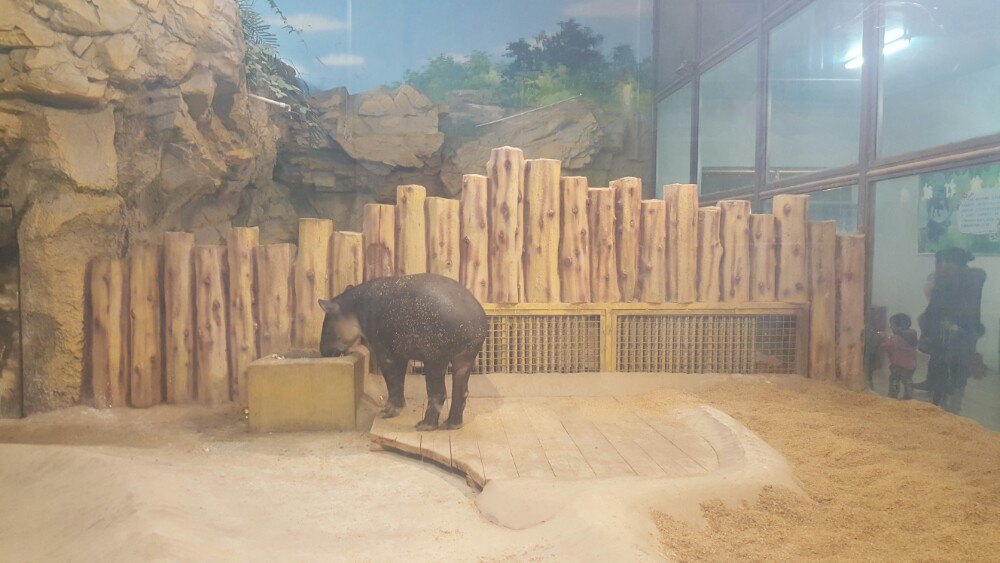 郑州动物园_郑州动物园图片_郑州动物园影院