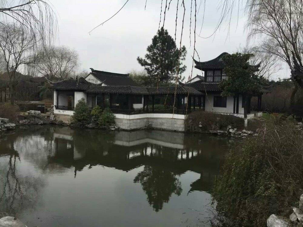 顾园