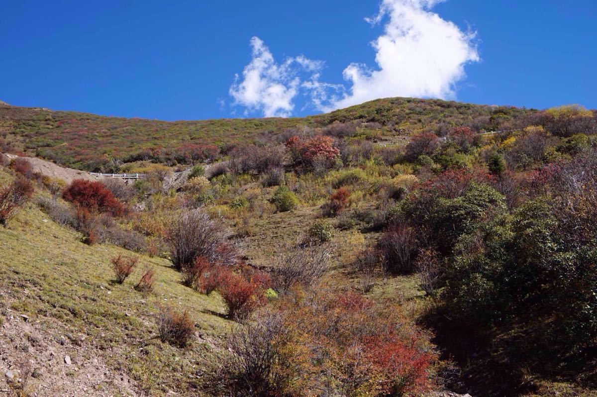 马尔康梦笔山攻略,马尔康梦笔山门票/游玩攻略/地址/图片/门票价格