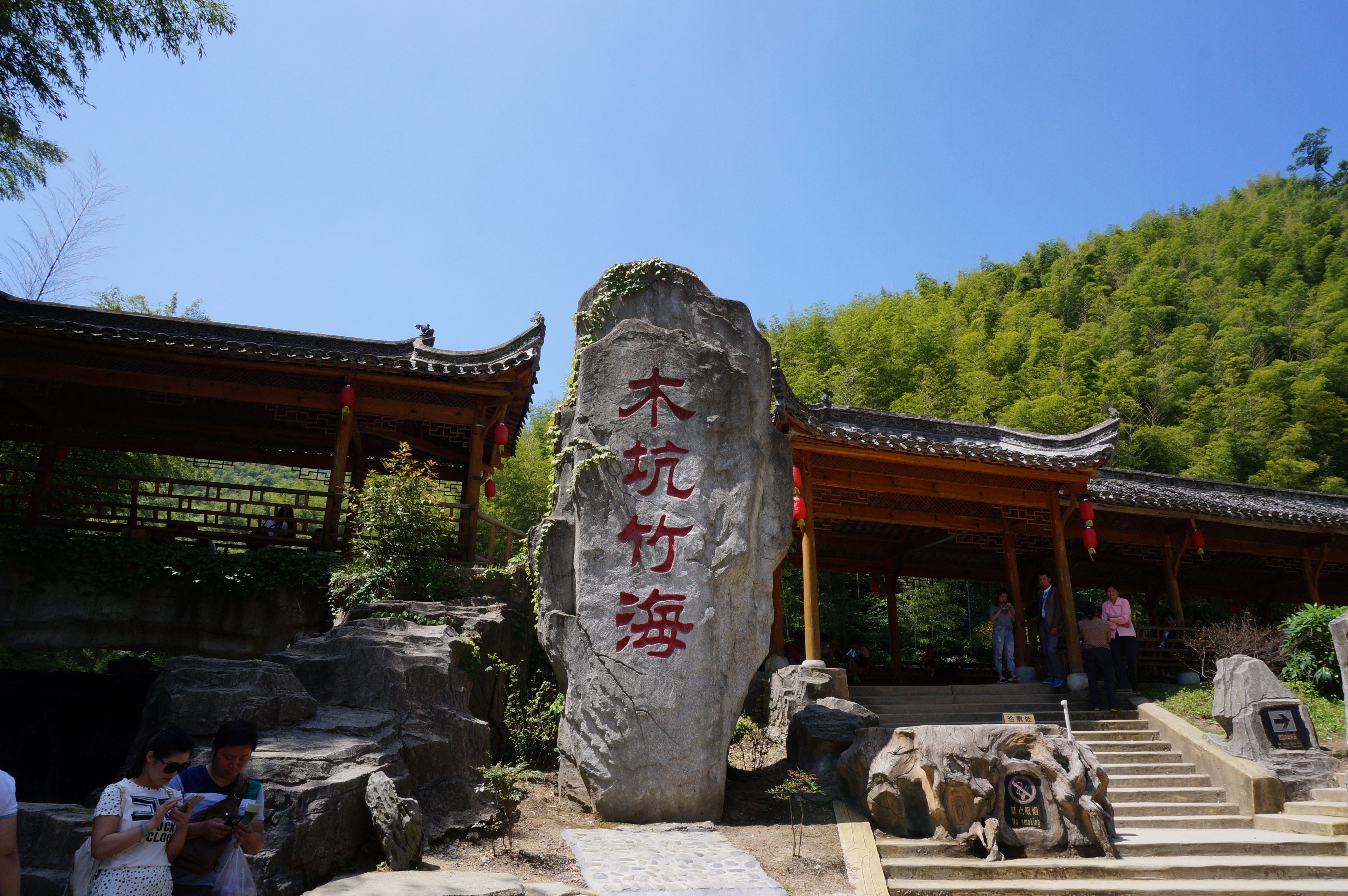 从黄山下来,沿着秀美的河溪和山林,往黟县方向,途经木坑竹海