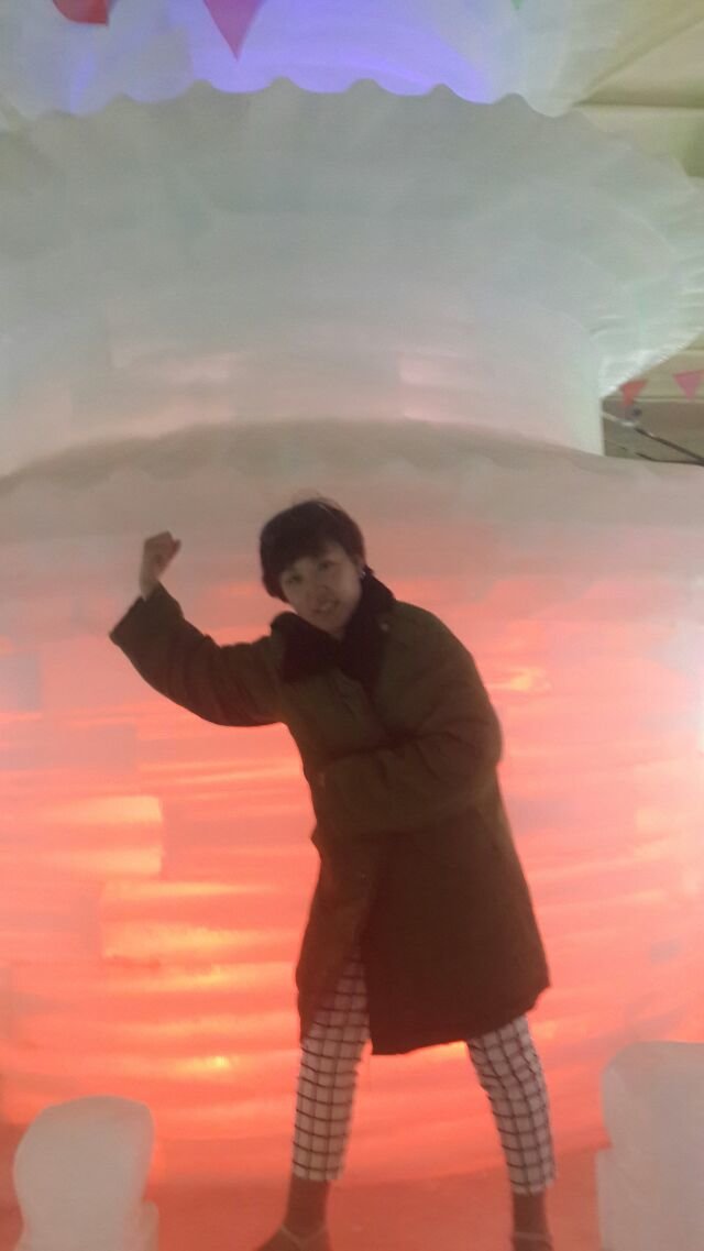 三亚印象冰雕展