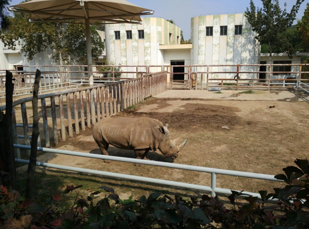 济南动物园jinan zoo