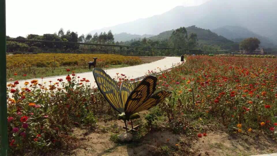 那里花开主题公园