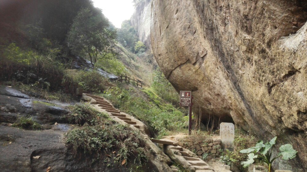 虎啸岩一定要去,一定要乘景区车到虎啸岩.