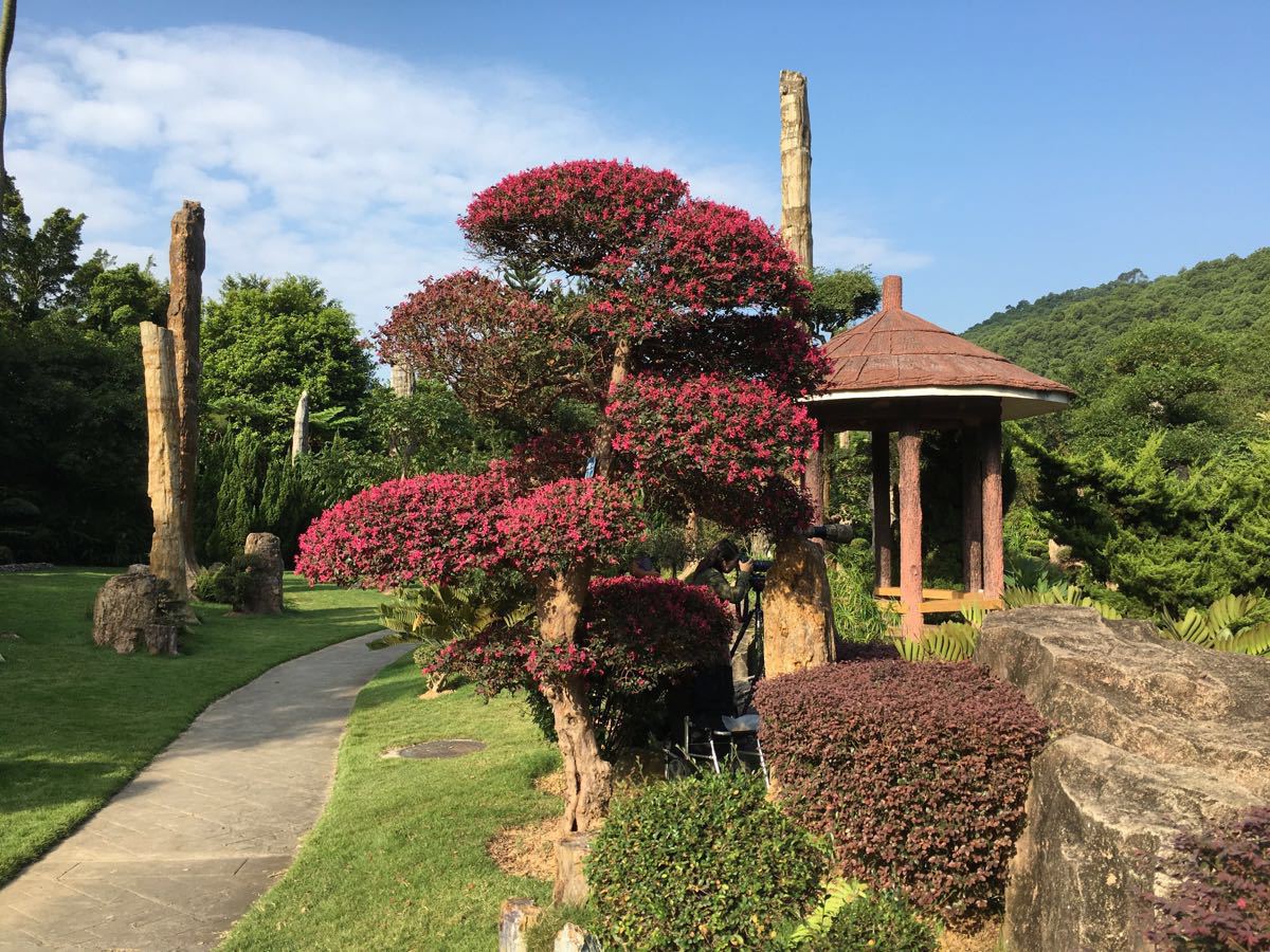 2019仙湖植物园_旅游攻略_门票_地址_游记点评,深圳旅游景点推荐 - 去