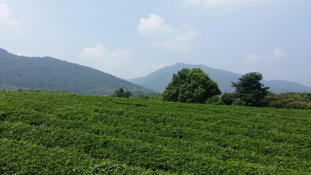 【自行车主题公园】宜兴龙池山自行车公园