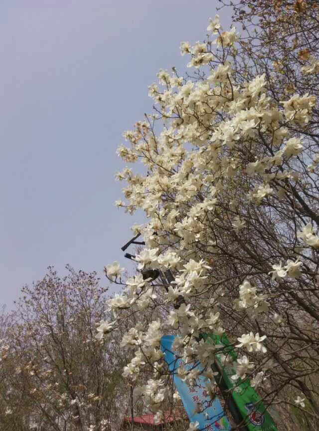 【携程攻略】济南百花公园景点,百花公园就在家附近,.