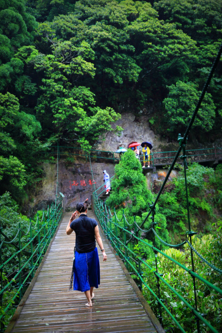 峡谷内分布着红豆杉,白豆杉,福建柏,紫茎等珍稀濒危树种以及大面积的