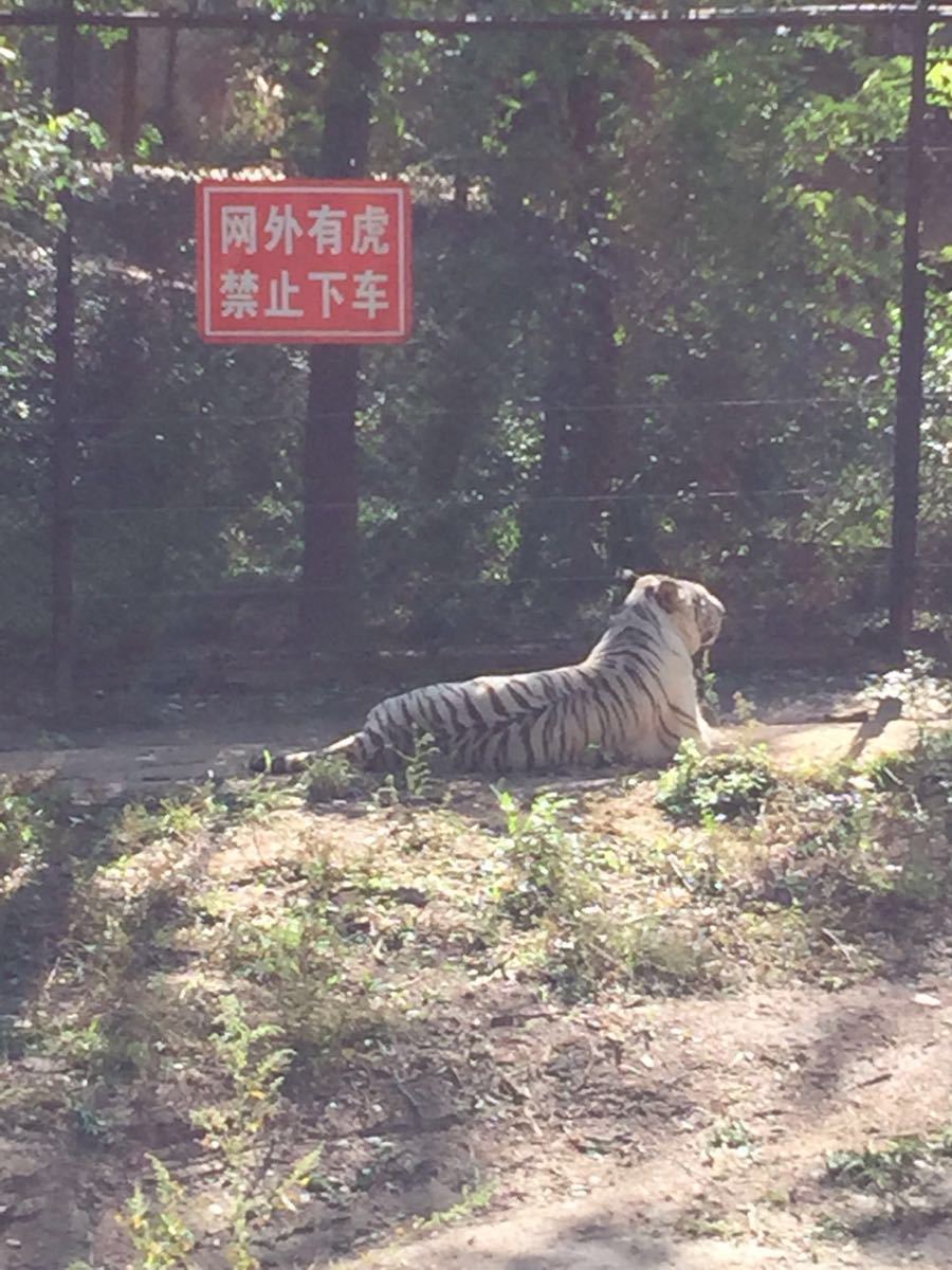 八达岭野生动物园