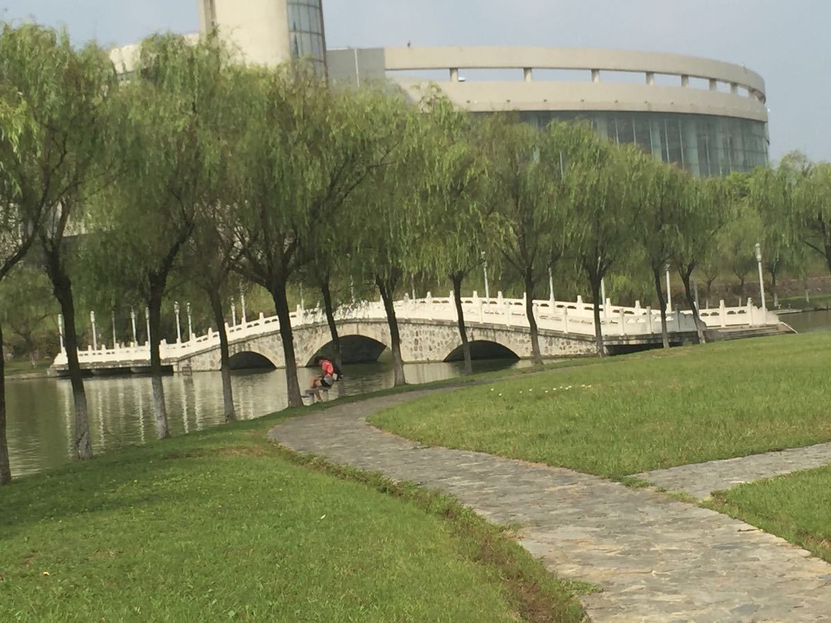 合工大新区旅游景点攻略图