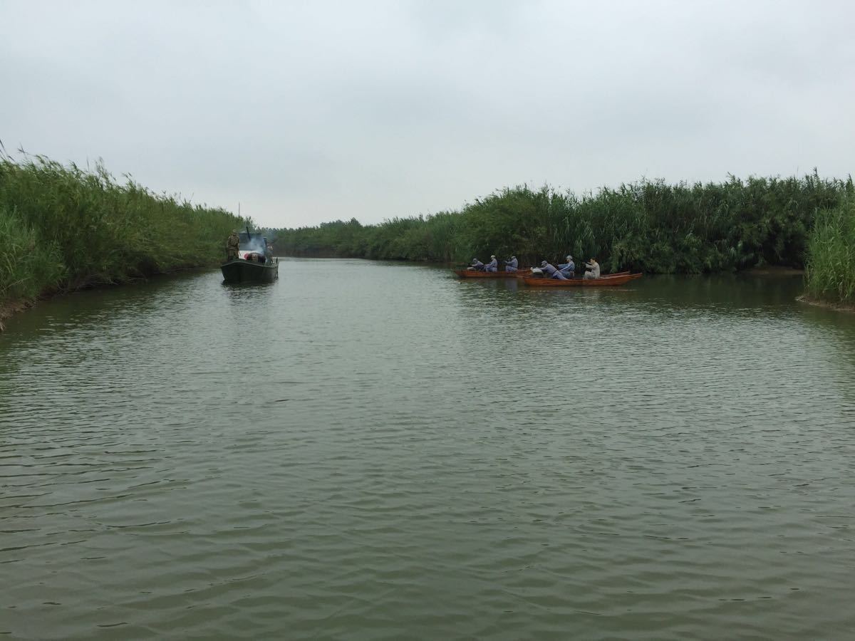 泗洪泗洪洪泽湖湿地好玩吗,泗洪泗洪洪泽湖湿地景点样