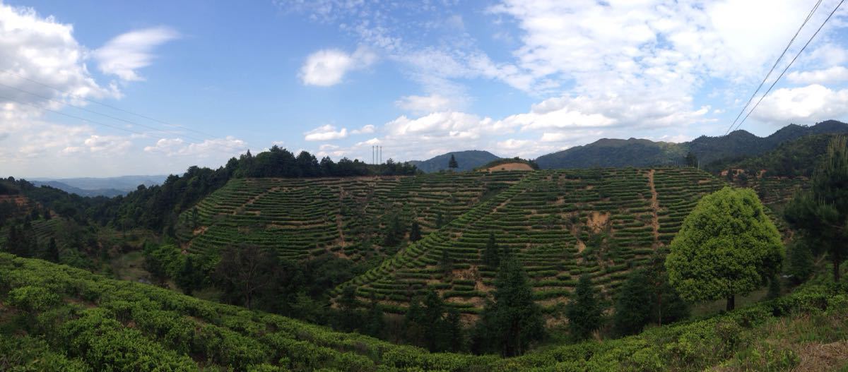 西岩茶乡度假村