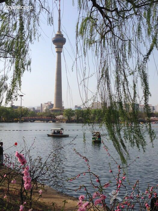 玉渊潭公园