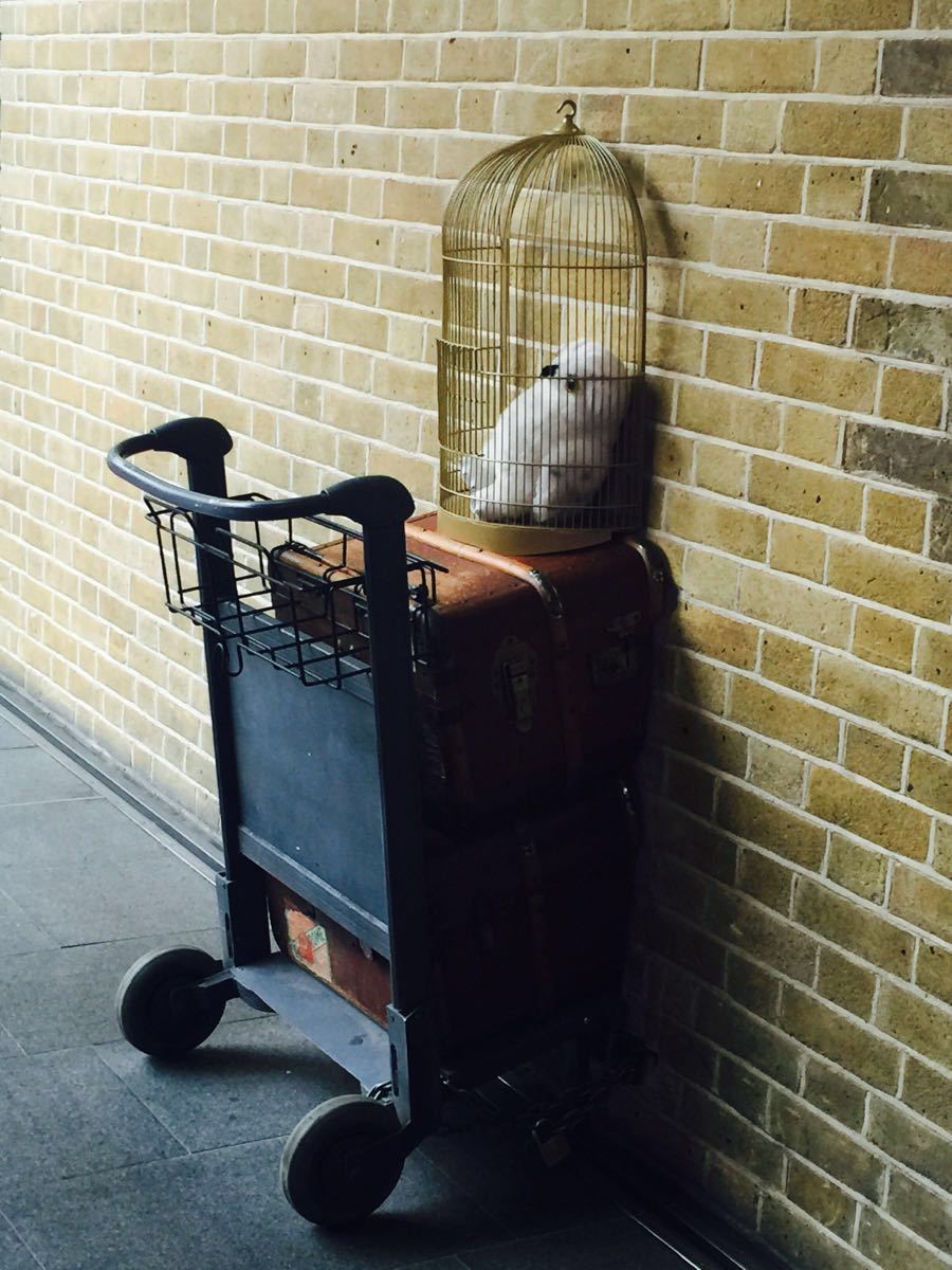 国王十字车站图片