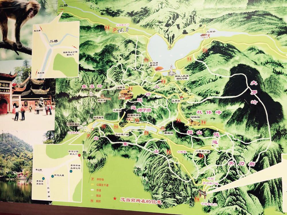 这是游览图,我想说我只想去看猴