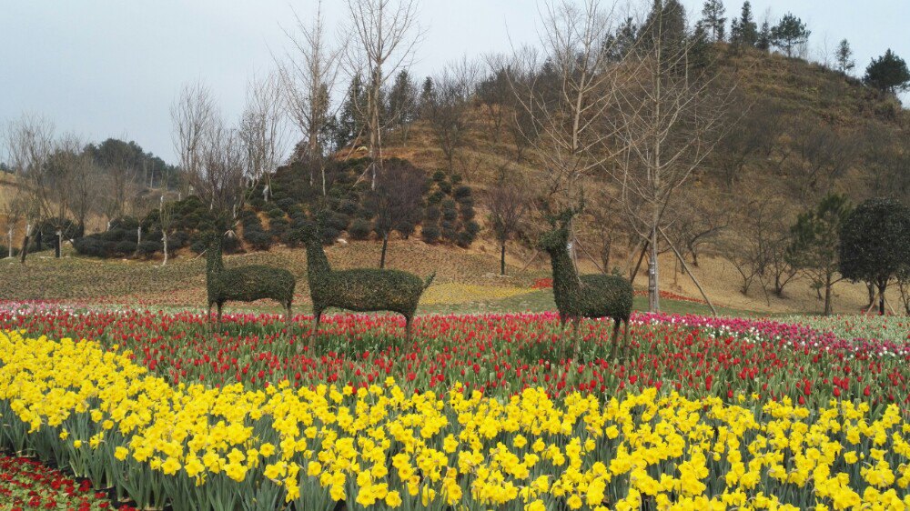 金海雪山·四季花谷