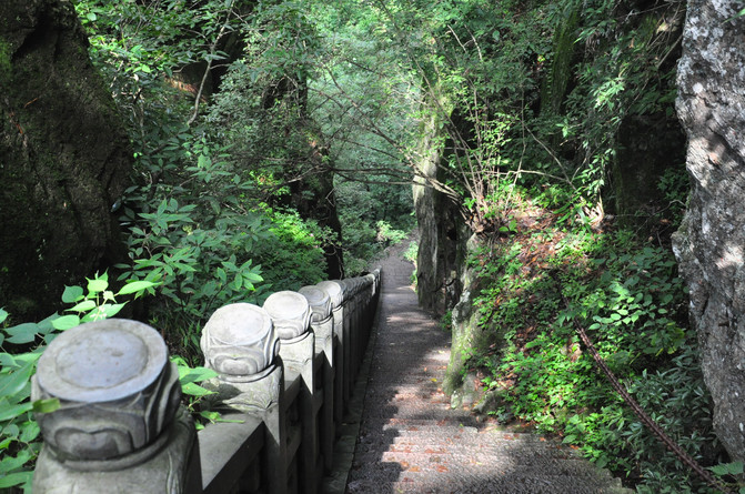 浙江游记之临安天目山