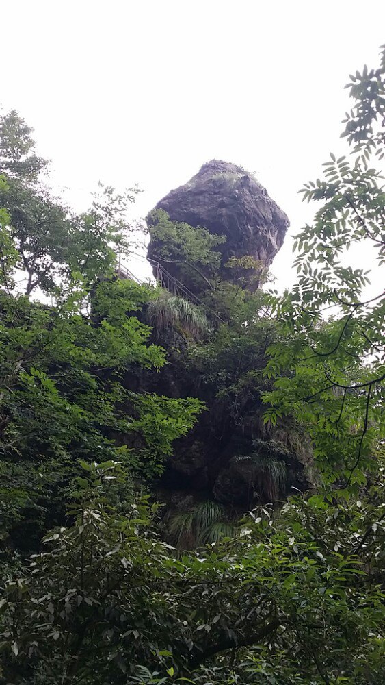 武宁神雾山攻略,武宁神雾山门票/游玩攻略/地址/图片