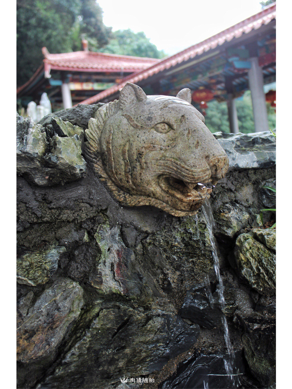 闽南朝拜游 ▍ 漳州平和三平寺