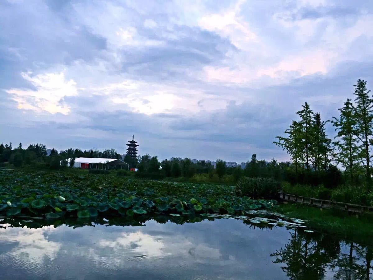 洋湖湿地公园