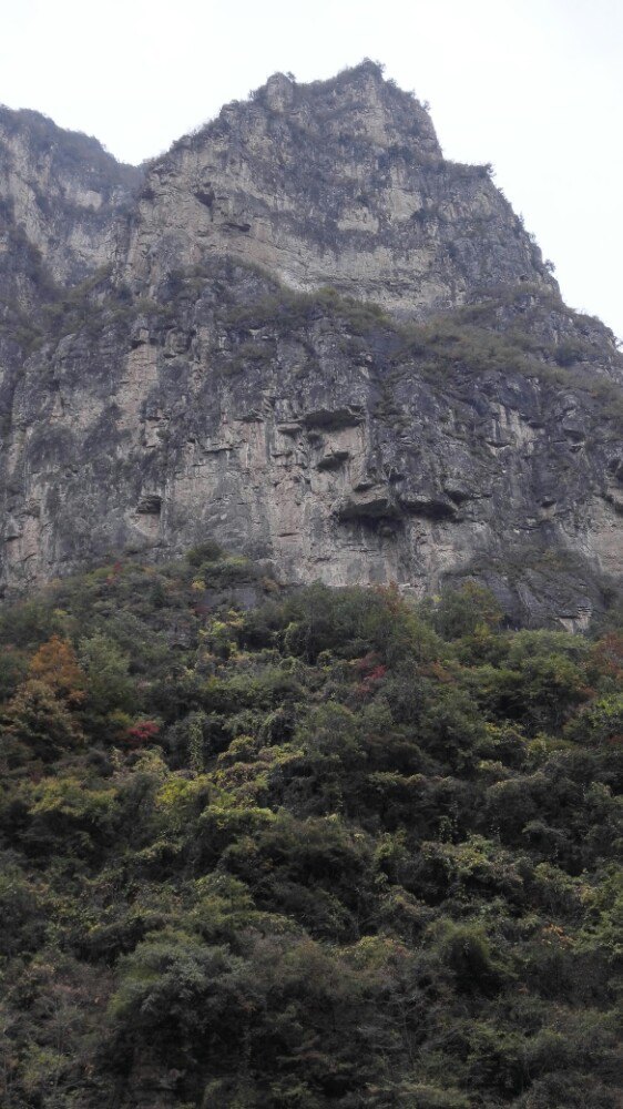 红豆杉大峡谷