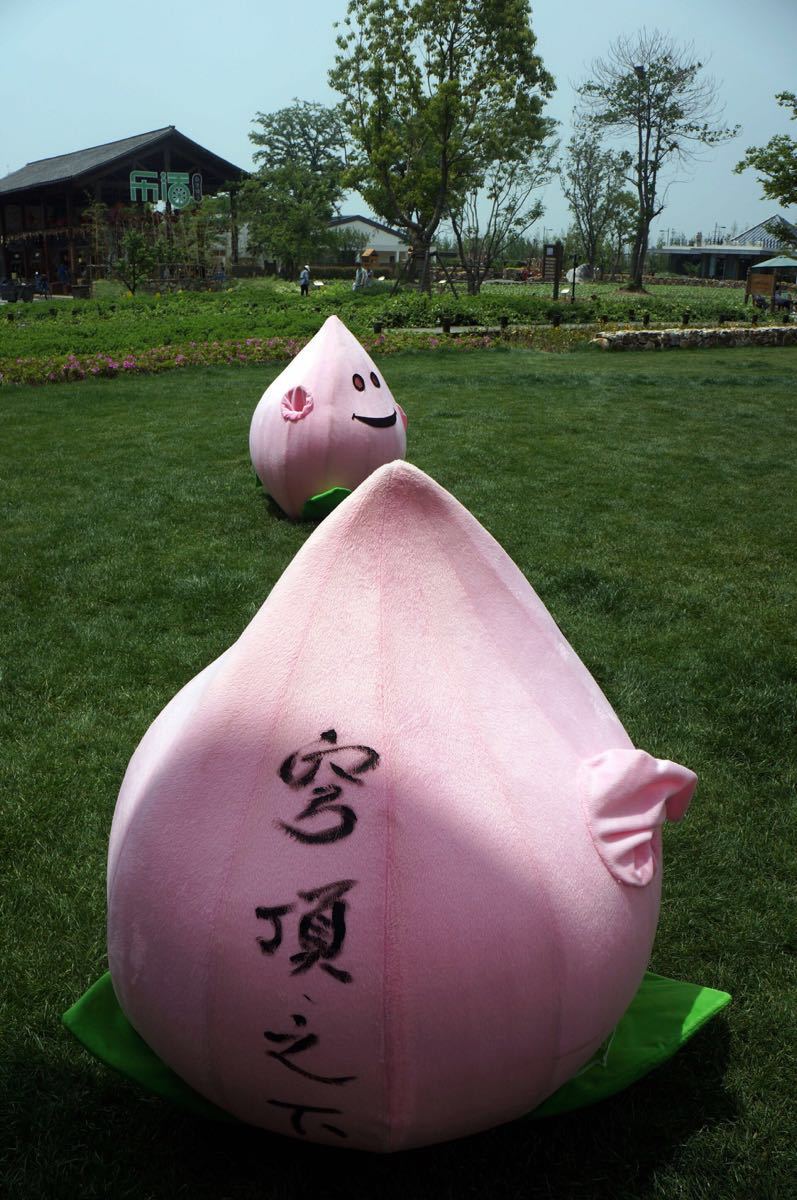 田园东方蜜桃村