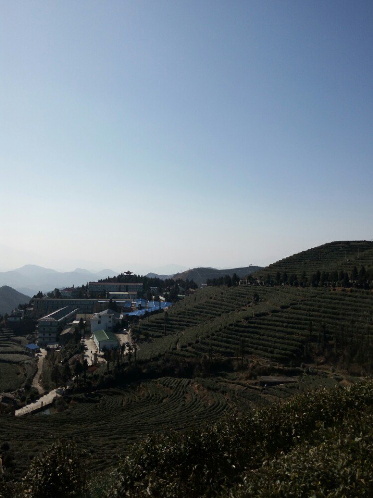 临海羊岩山茶文化园好玩吗,临海羊岩山茶文化园景点怎么样_点评_评价