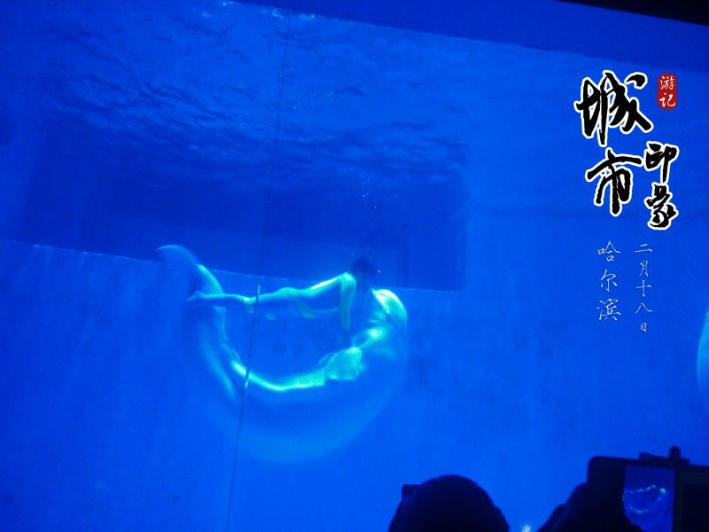 哈尔滨极地馆