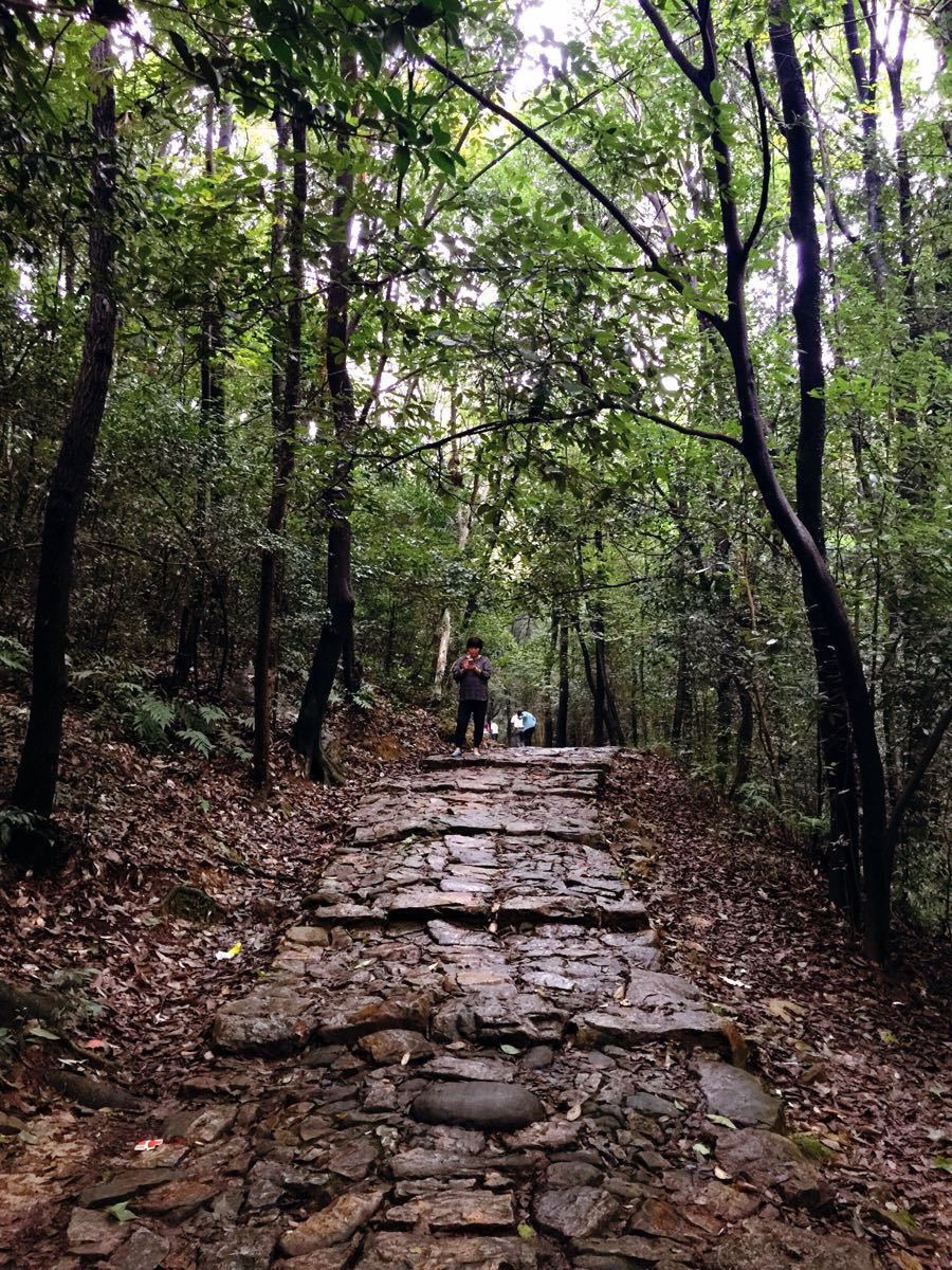 龙池山旅游景点攻略图