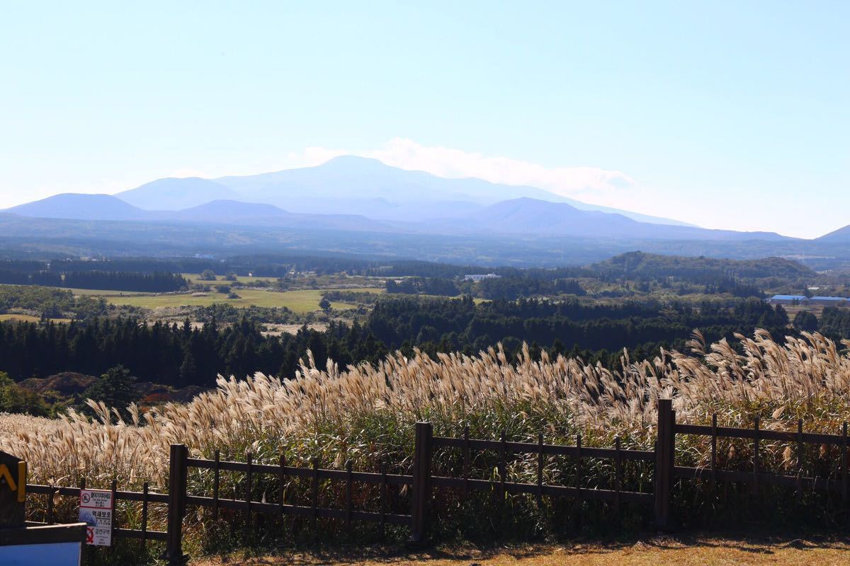 山君不离