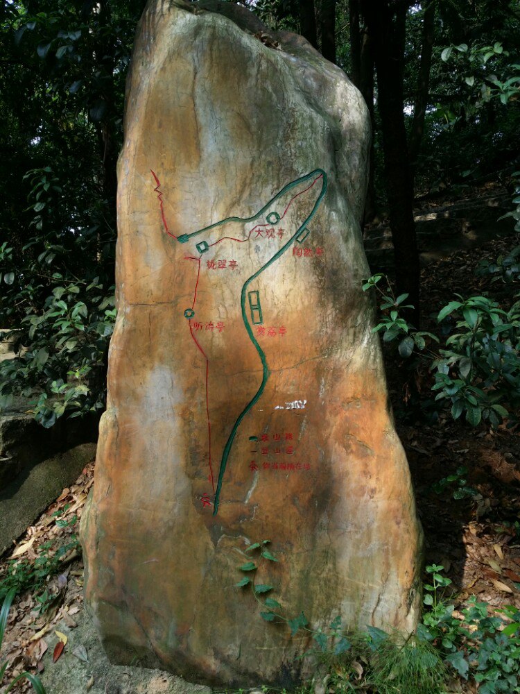 塘朗山郊野公园