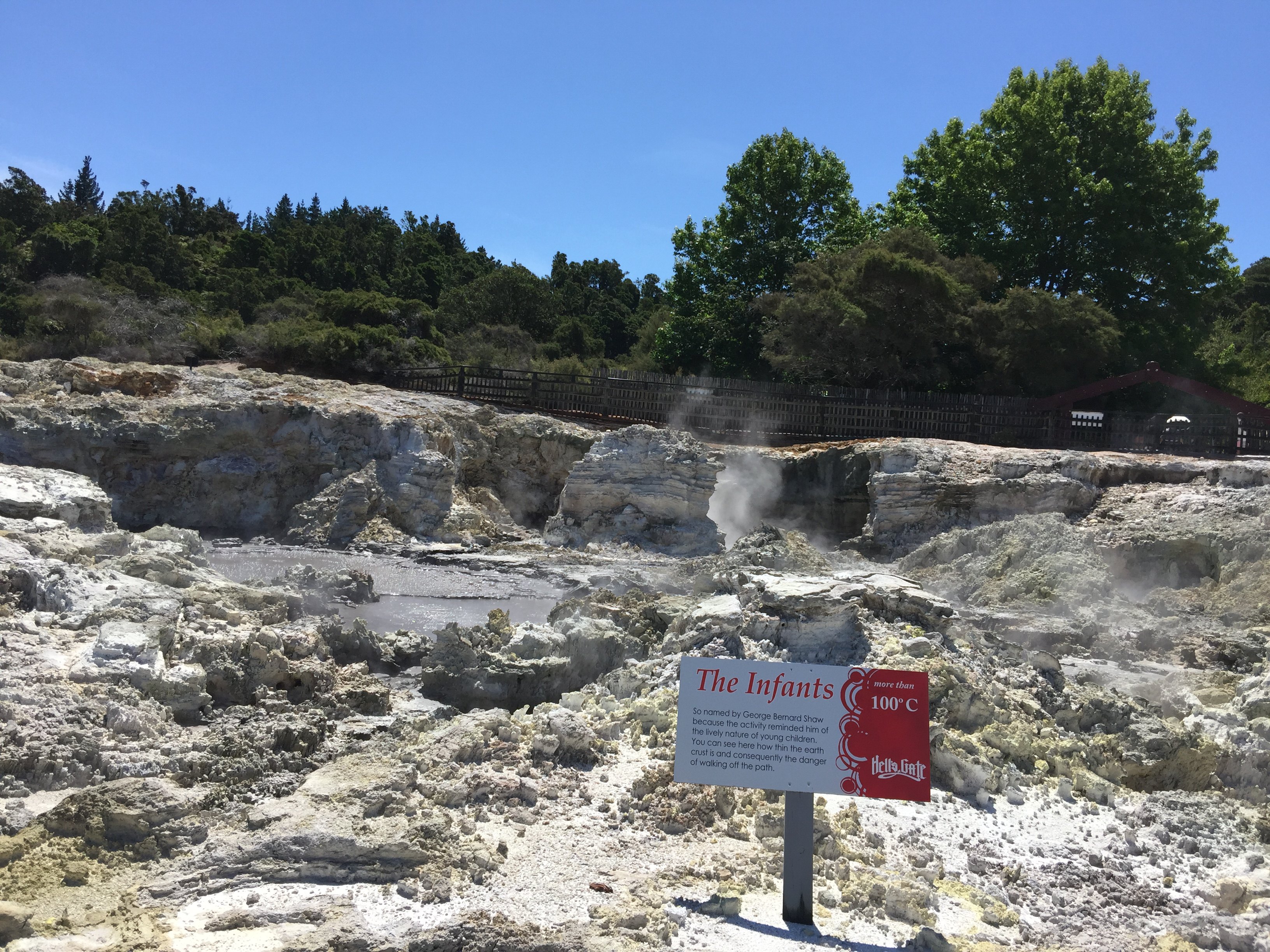 罗托鲁阿又是南半球最有名的泥火山和温泉地区,以地热奇观驰名世界"