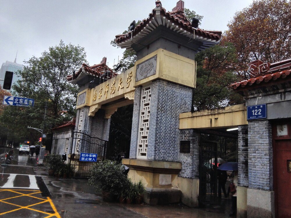 南师大随园,百年银杏,满树黄叶,铺就金色地毯.