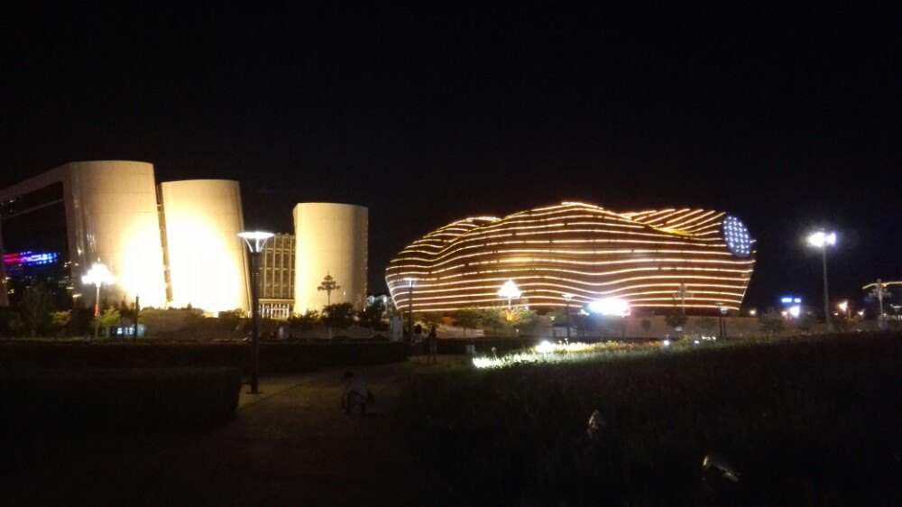 鄂尔多斯康巴什夜景