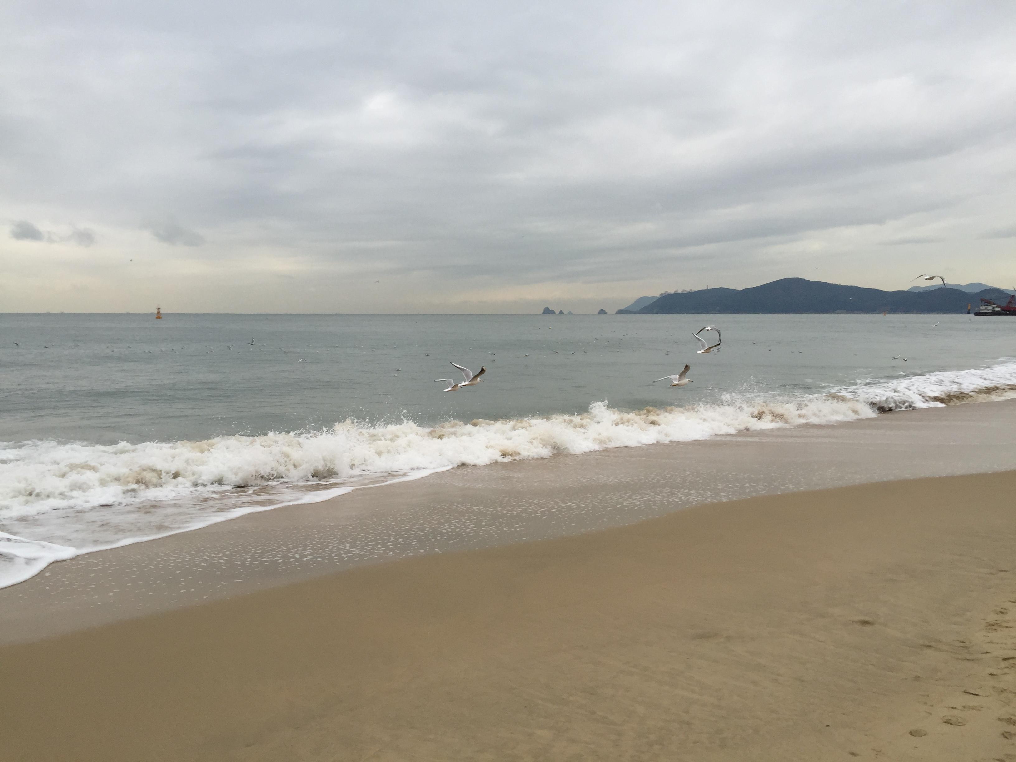海云台