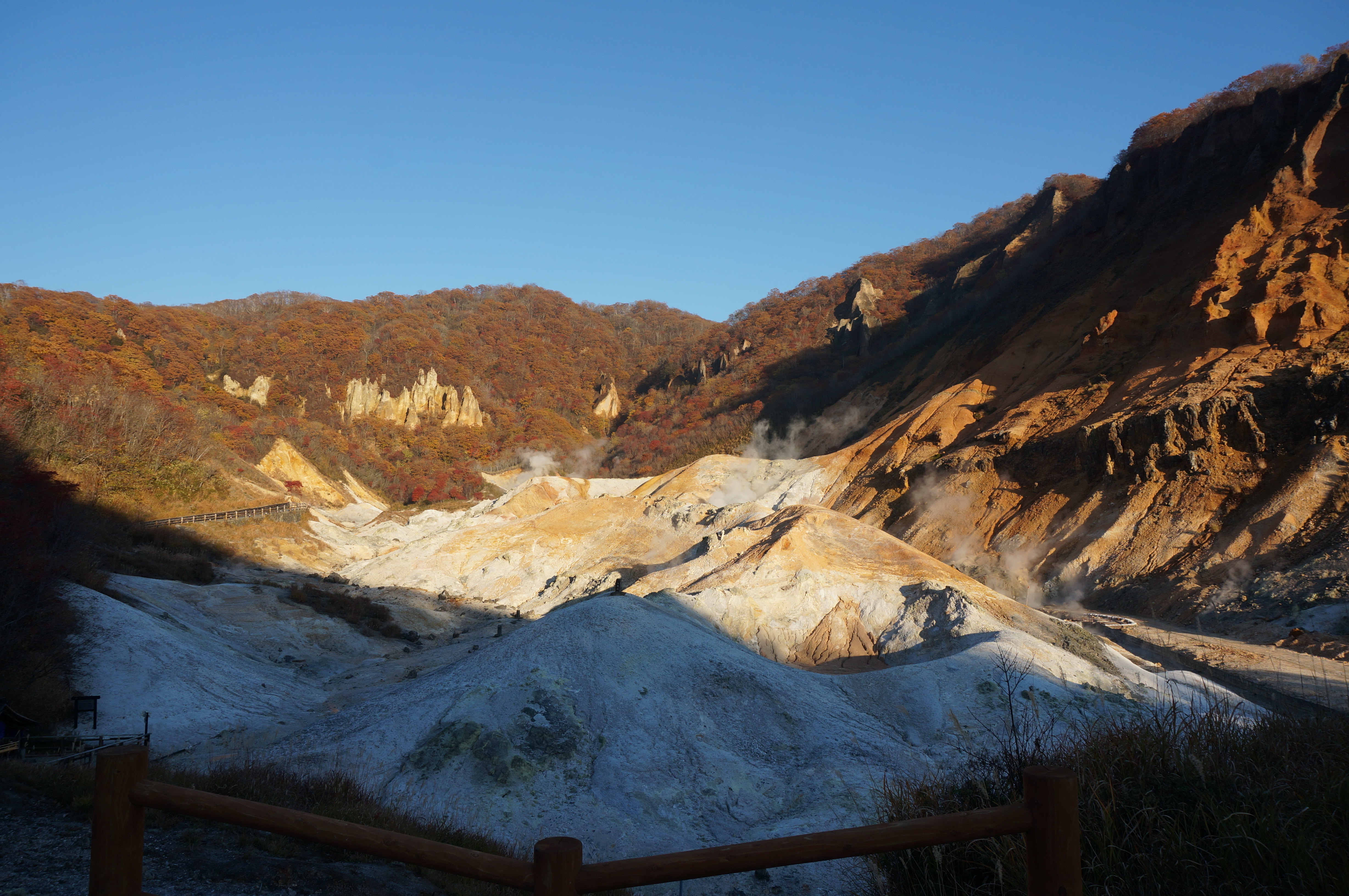 写意金秋#关西逛到北海道,一个人对话的15日