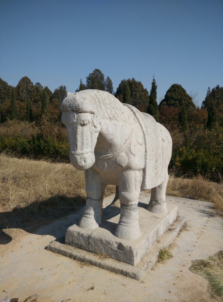 02月29日蒲城天气预报:多云 气温: 4℃~14℃