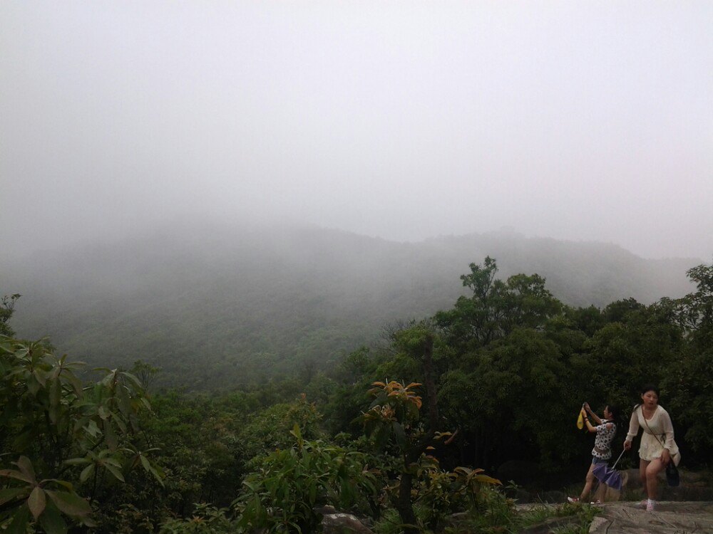 大岭山森林公园