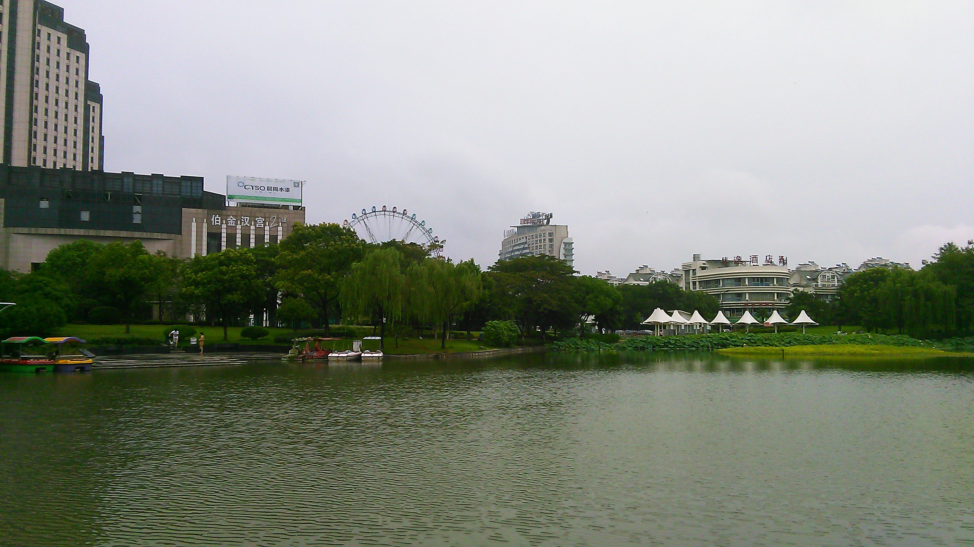 秋荷也爽.2015年8月16曰闲逛在嘉兴秀洲公园