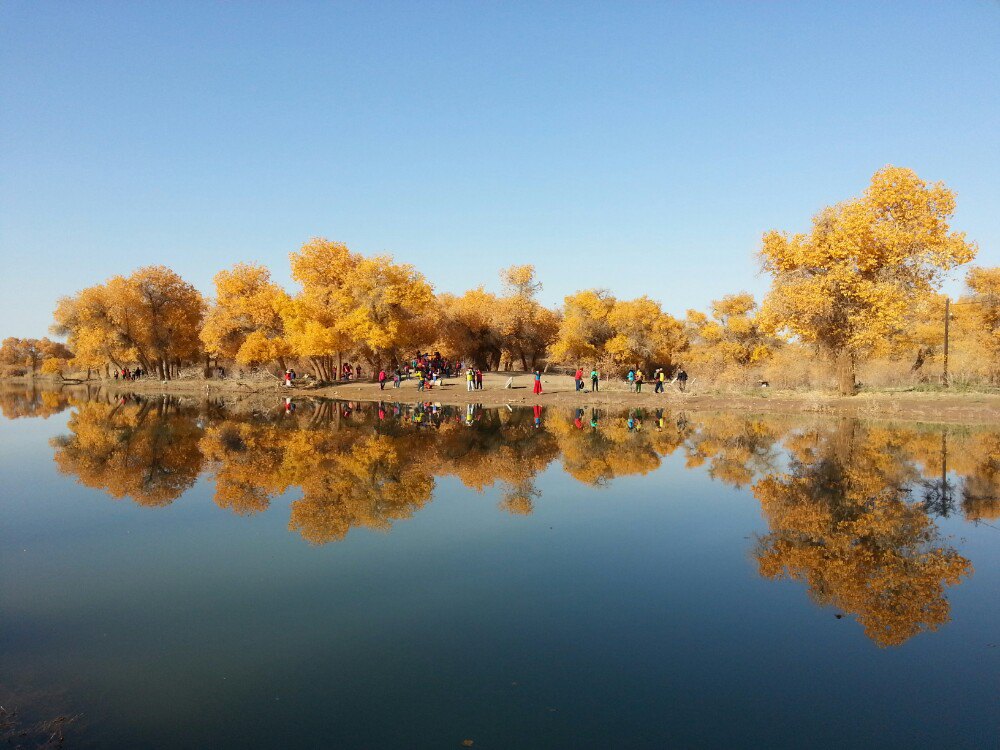 【携程攻略】额济纳旗额济纳胡杨林旅游区景点,值得一去的地方,可惜水