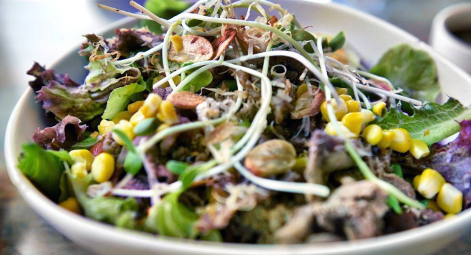 thesaladconcept