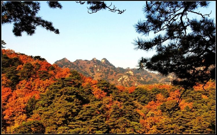 多彩辽宁:鞍山千山秋色