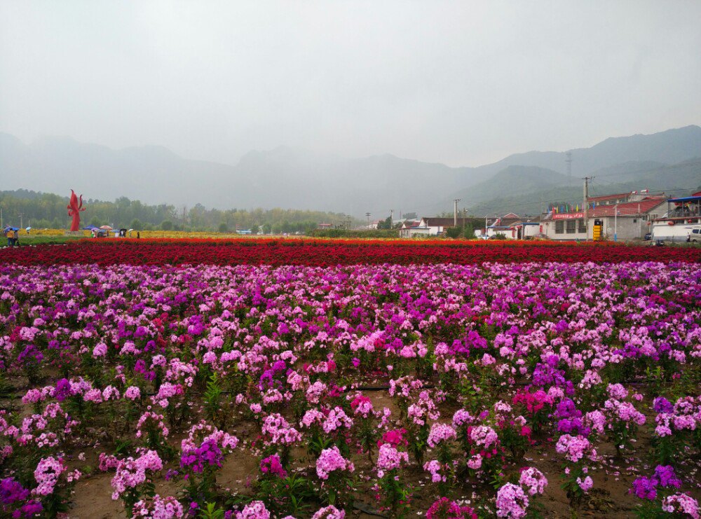 【携程攻略】北京延庆四季花海好玩吗,延庆四季花海怎