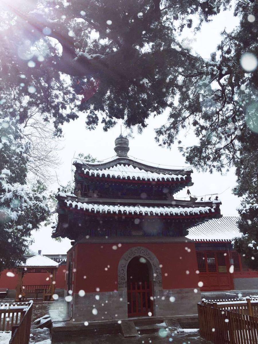 北京大觉寺景点,大觉寺的初雪美轮美幻,唤起在渐渐消失在记忆中的飘雪