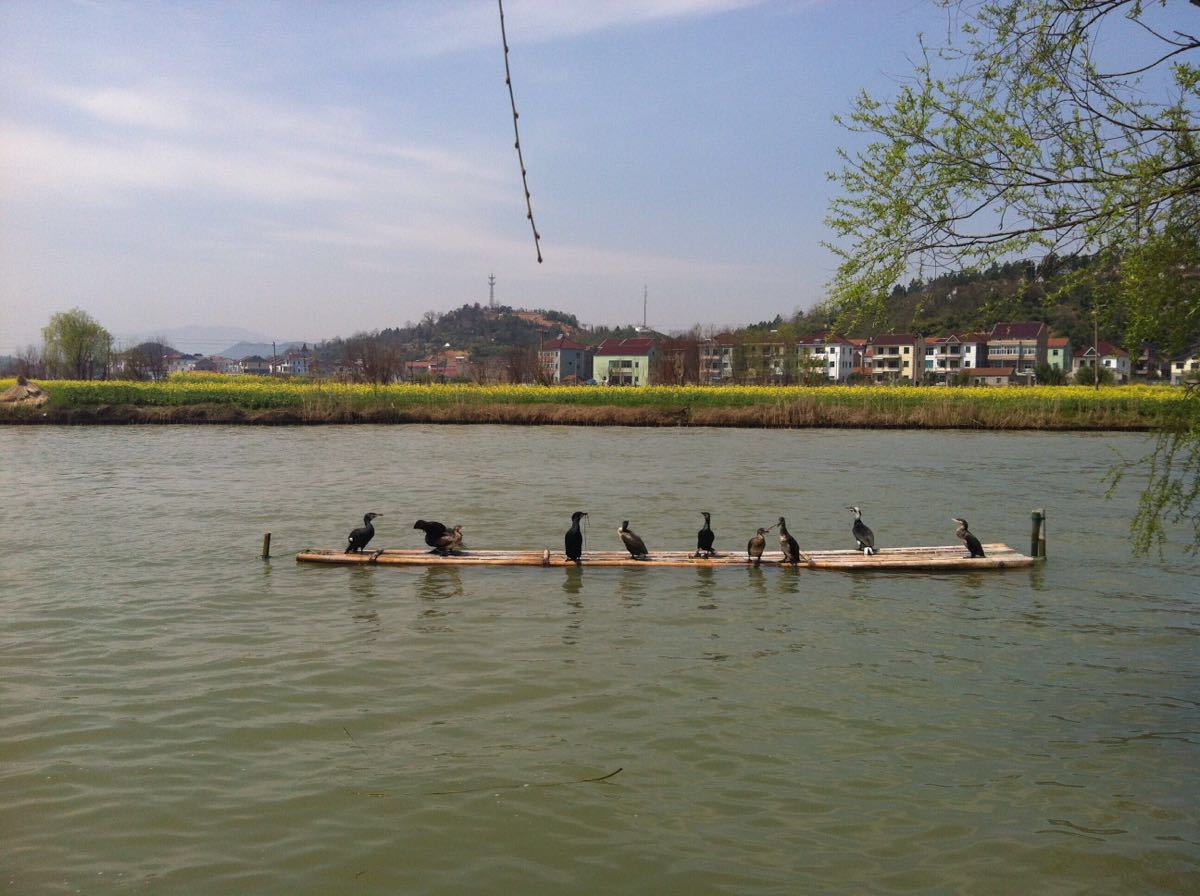 崇州白塔湖好玩吗,崇州白塔湖景点怎么样_点评_评价