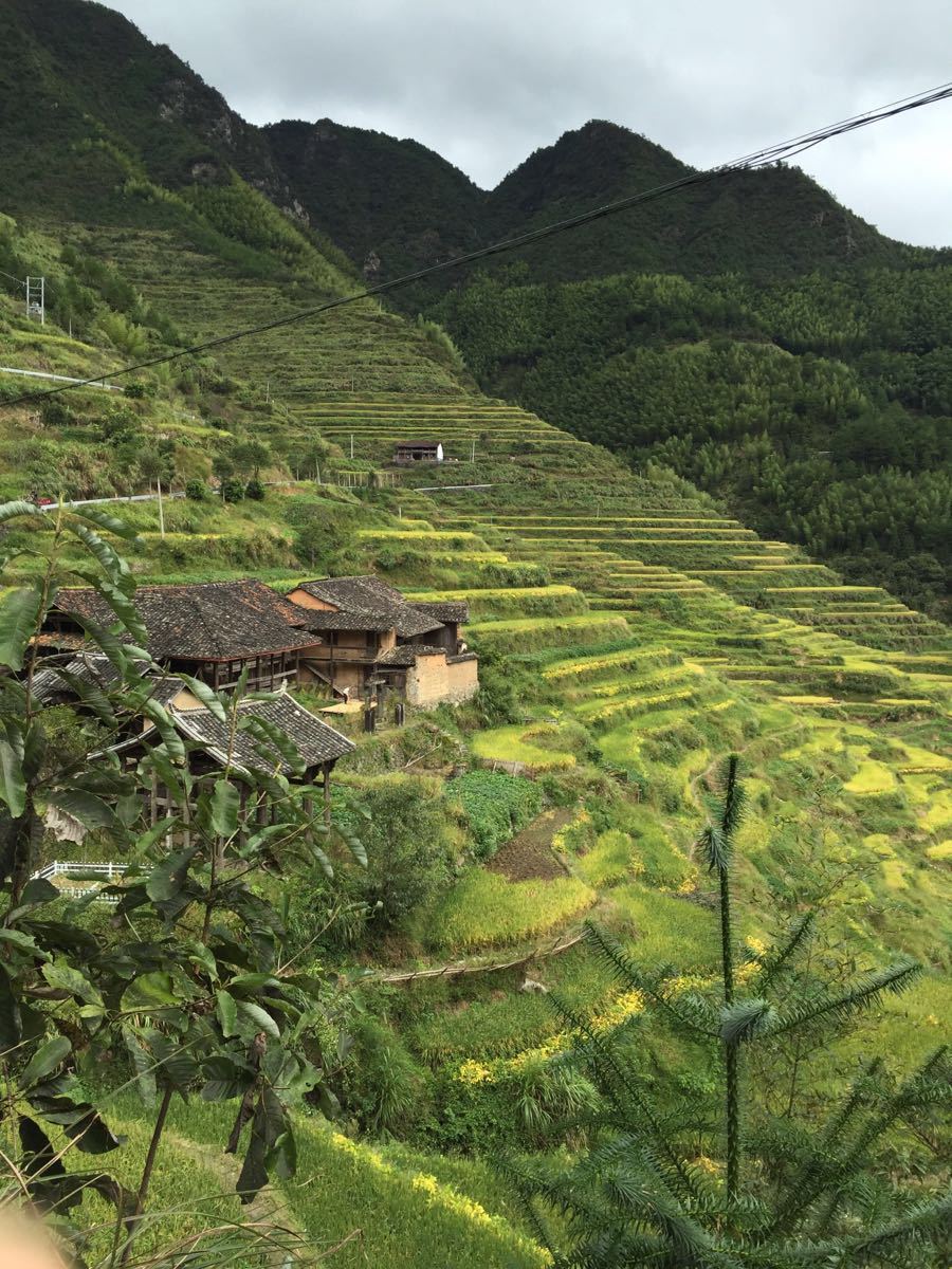 云和梯田景区