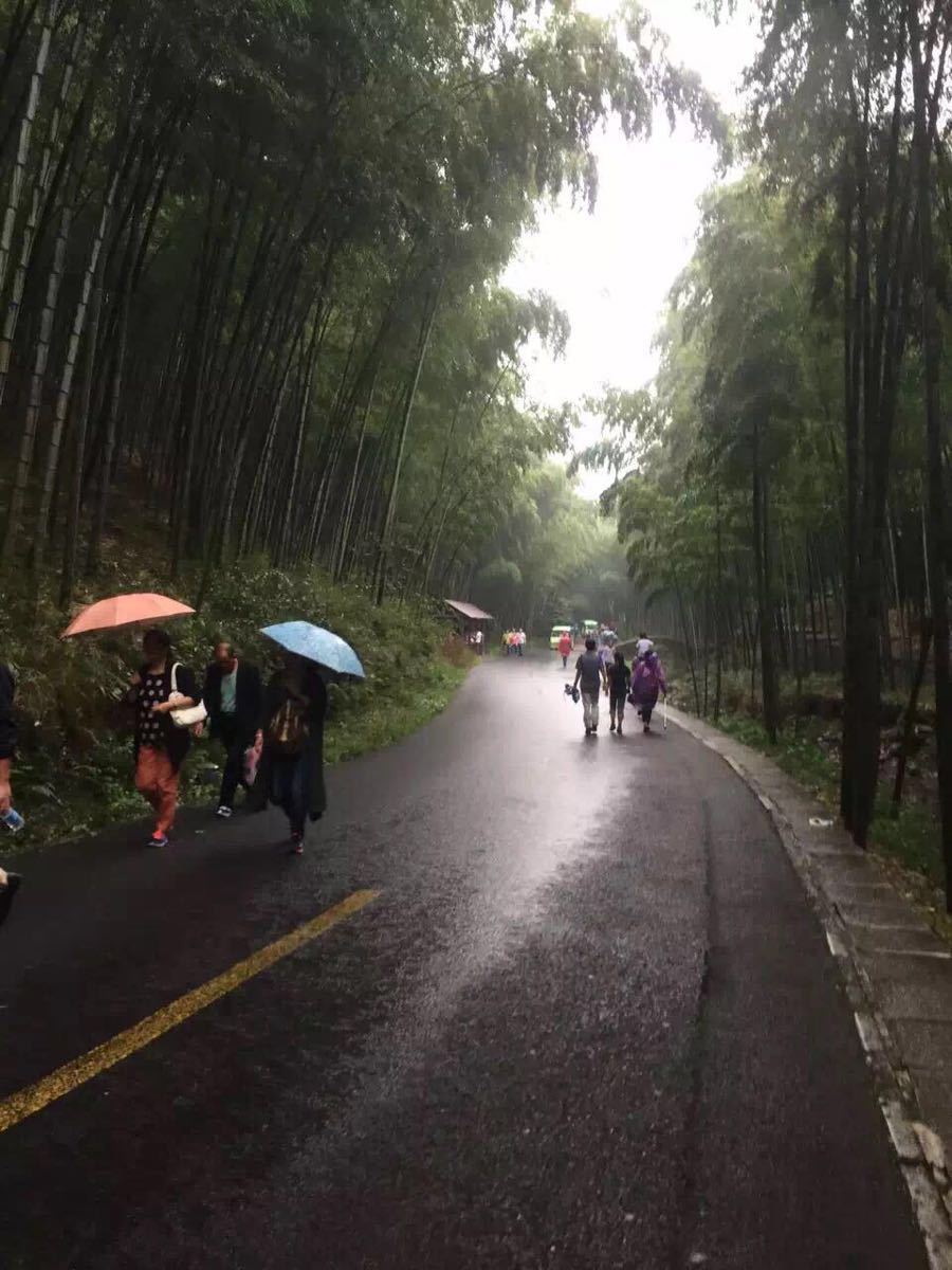 2019宜兴竹海_旅游攻略_门票_地址_游记点评,宜兴旅游