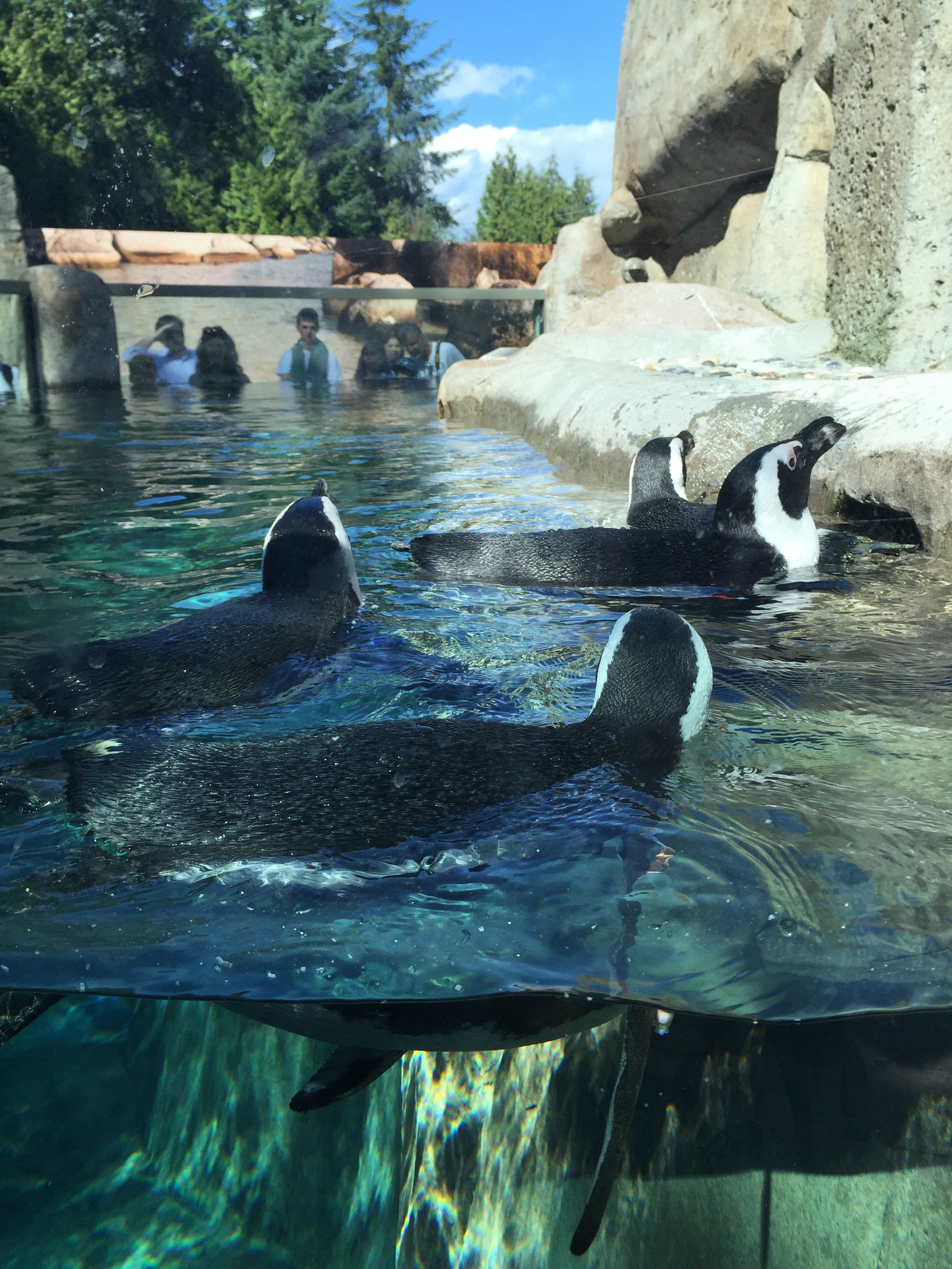 温哥华水族馆