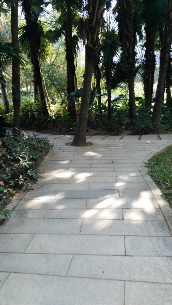 莲花山公园