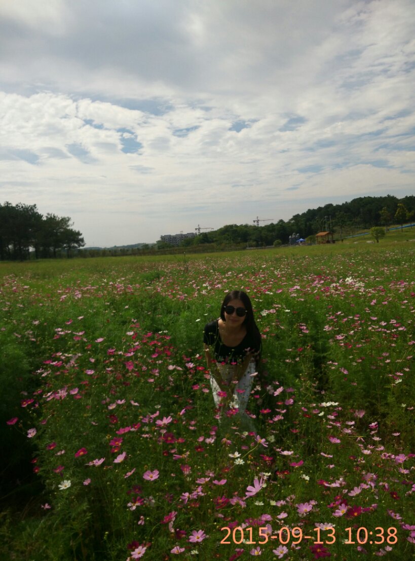 木兰草原